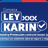 Ley Karin