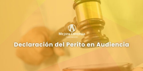 Declaración del Perito en Audiencia